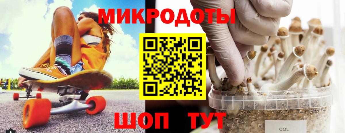 Псилоцибиновые грибы Psilocybine cubensis  Псилоцибиновые грибы GOLDEN TEACHER  Барнаул  Вход с VPN 